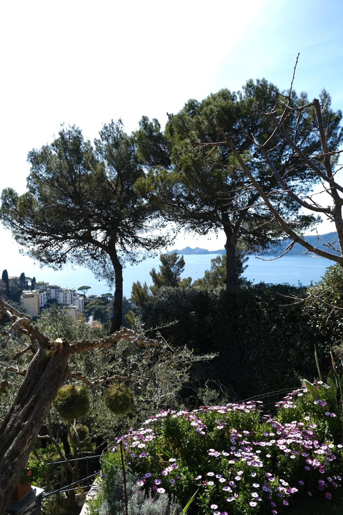 L'Alcova Tra Gli Ulivi By Portofinovacanze Zoagli Eksteriør billede