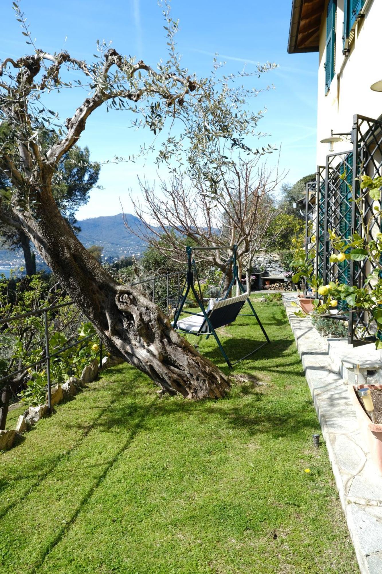 L'Alcova Tra Gli Ulivi By Portofinovacanze Zoagli Eksteriør billede